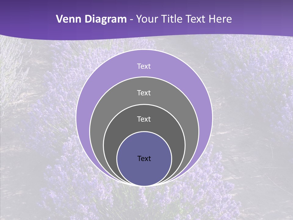 People Figure Corporate PowerPoint Template