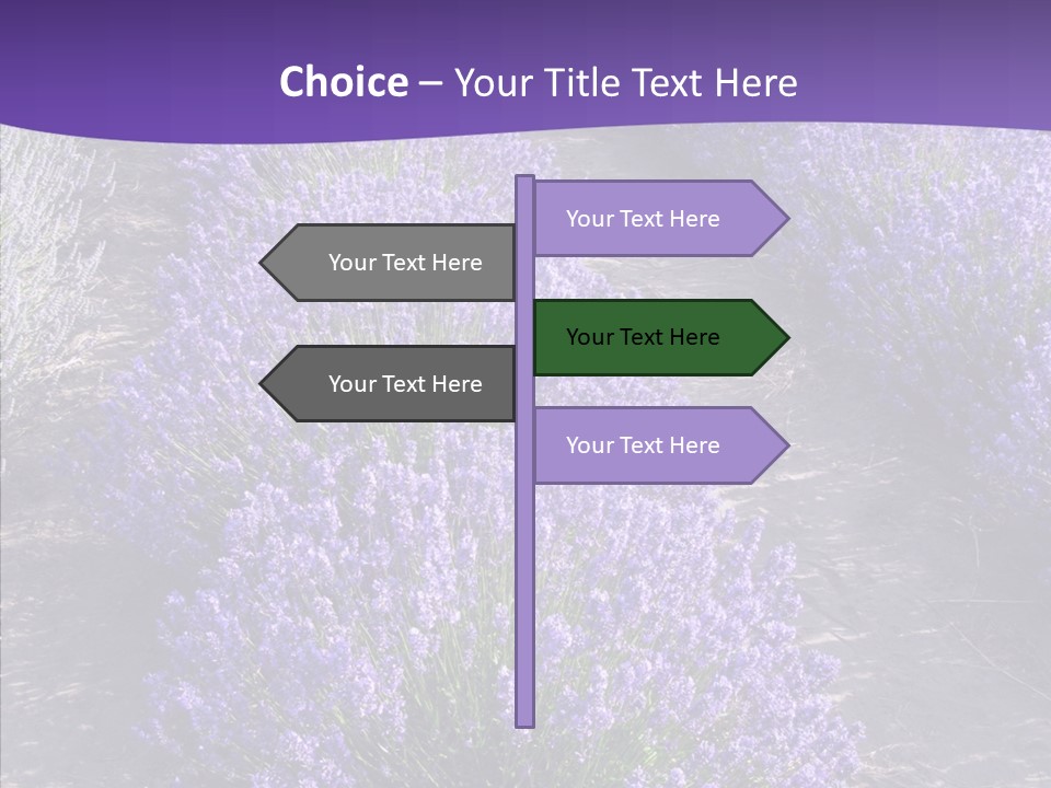People Figure Corporate PowerPoint Template
