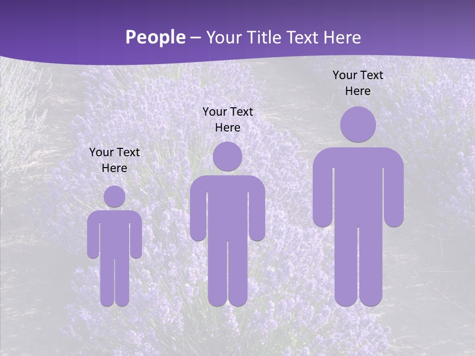 People Figure Corporate PowerPoint Template