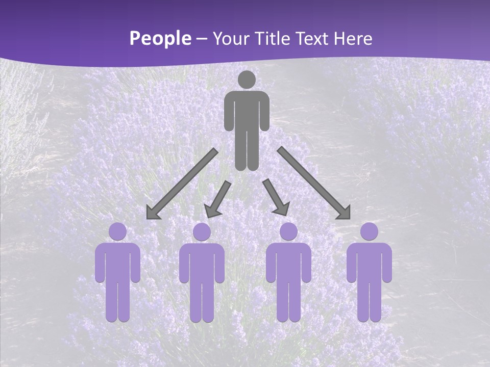People Figure Corporate PowerPoint Template