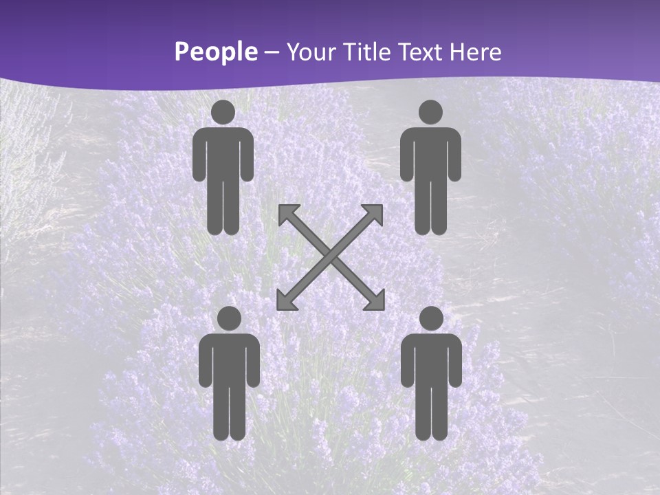 People Figure Corporate PowerPoint Template