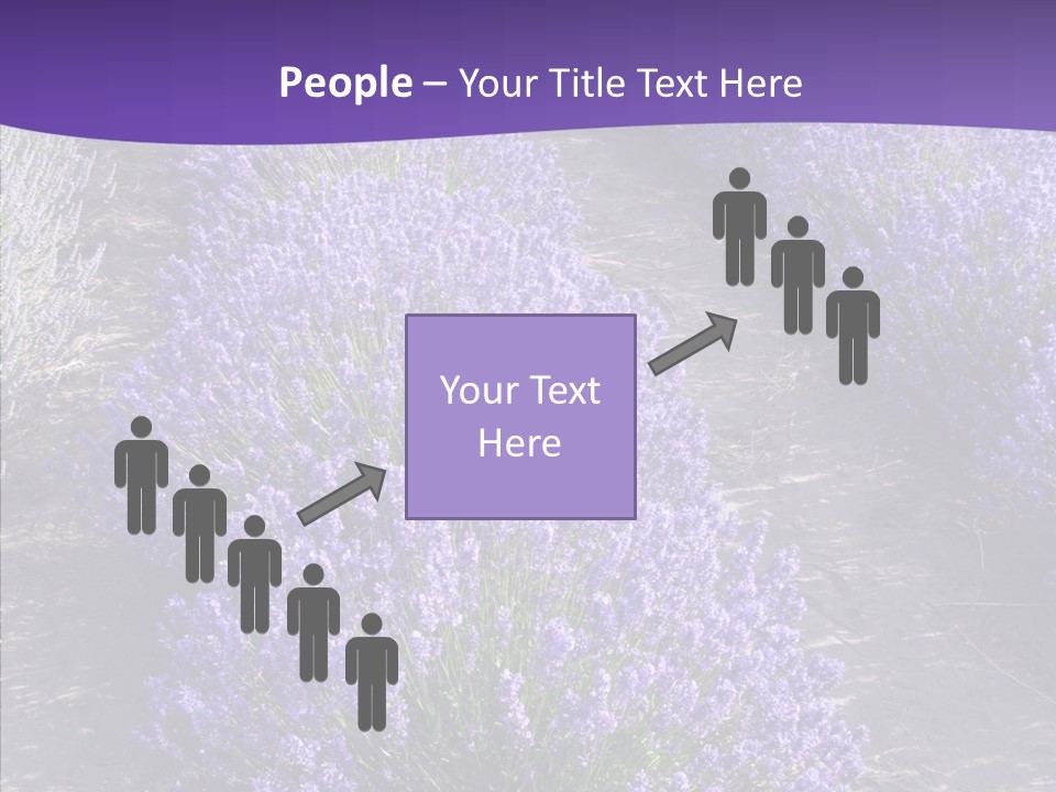 People Figure Corporate PowerPoint Template