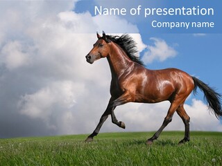 Pasture Ranch Eye PowerPoint Template