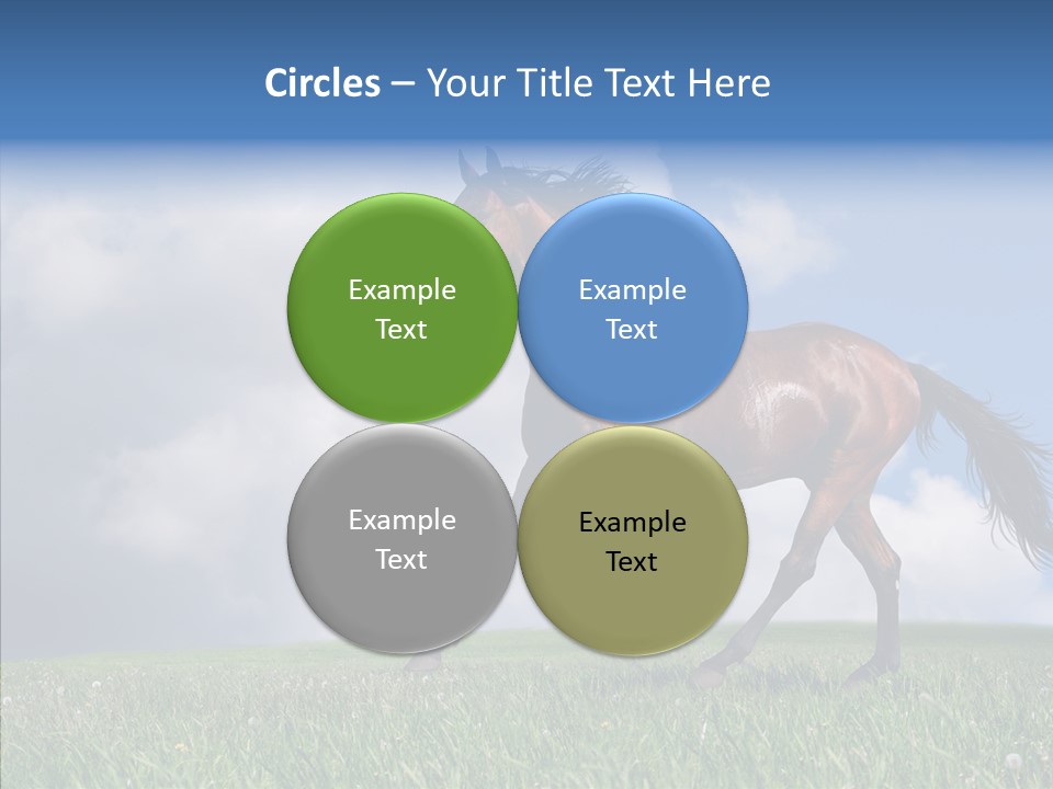 Pasture Ranch Eye PowerPoint Template