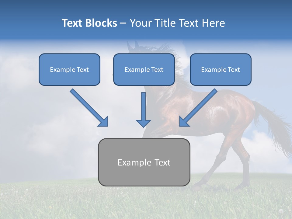 Pasture Ranch Eye PowerPoint Template