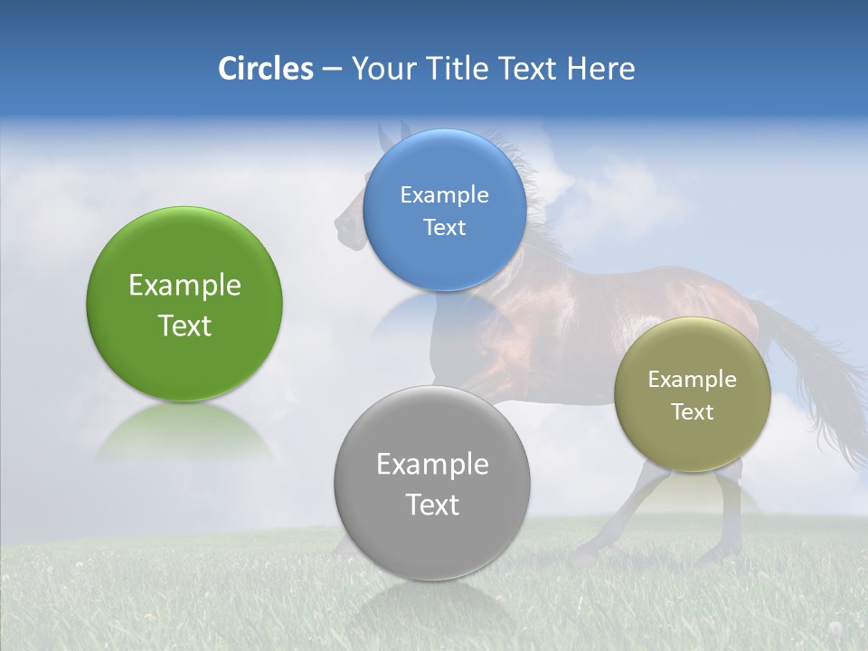 Pasture Ranch Eye PowerPoint Template