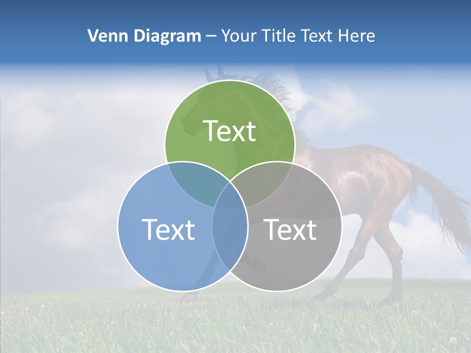Pasture Ranch Eye PowerPoint Template