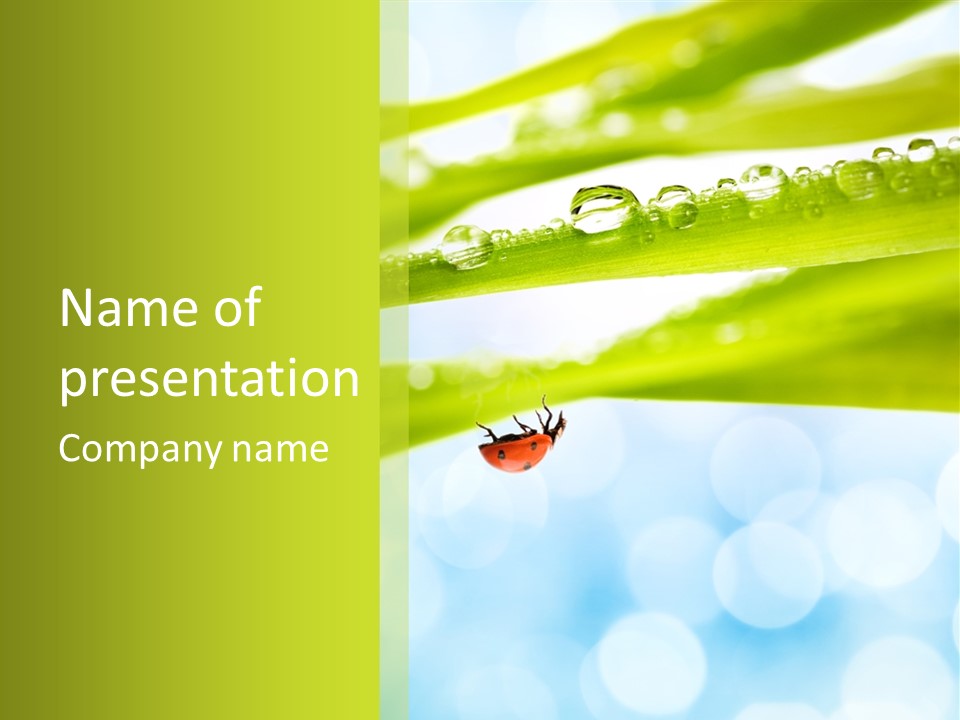Leaves Bright Biology PowerPoint Template