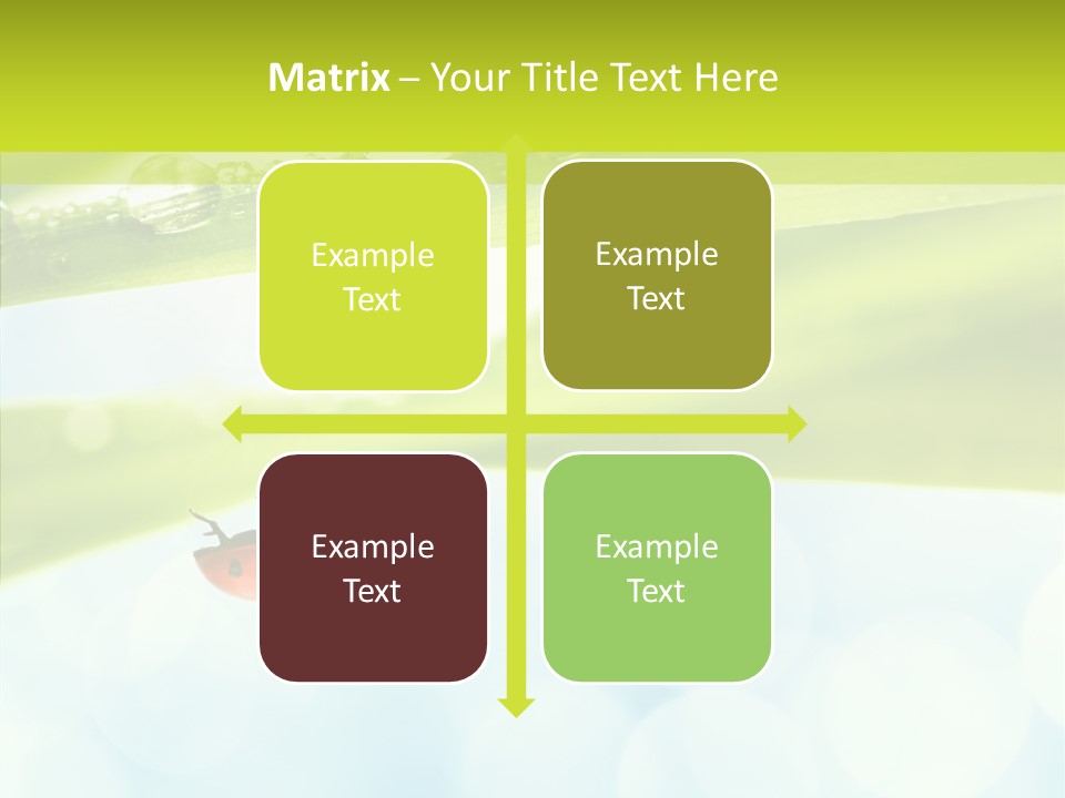 Leaves Bright Biology PowerPoint Template