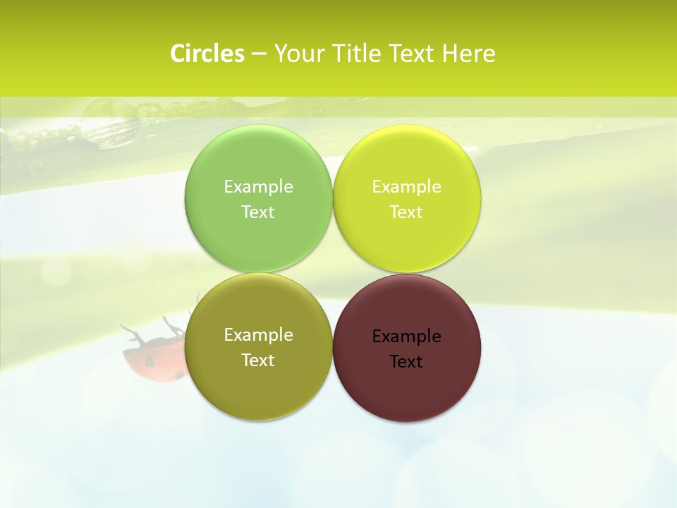 Leaves Bright Biology PowerPoint Template