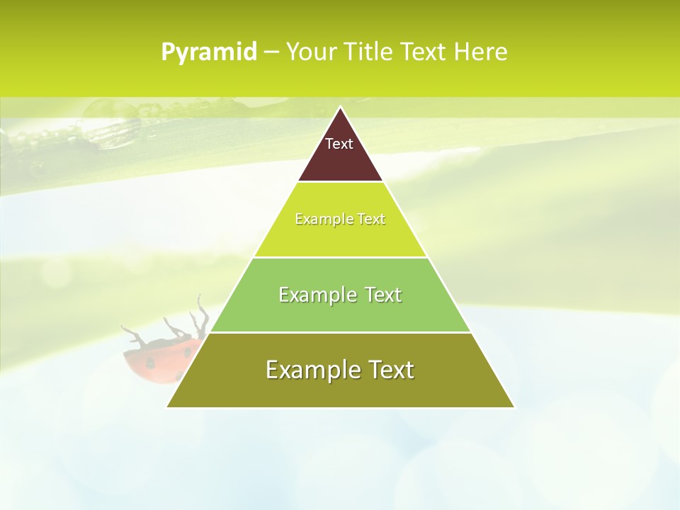 Leaves Bright Biology PowerPoint Template
