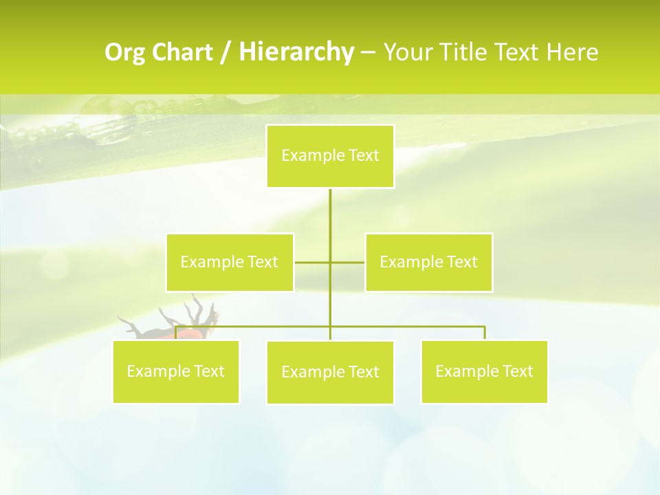 Leaves Bright Biology PowerPoint Template