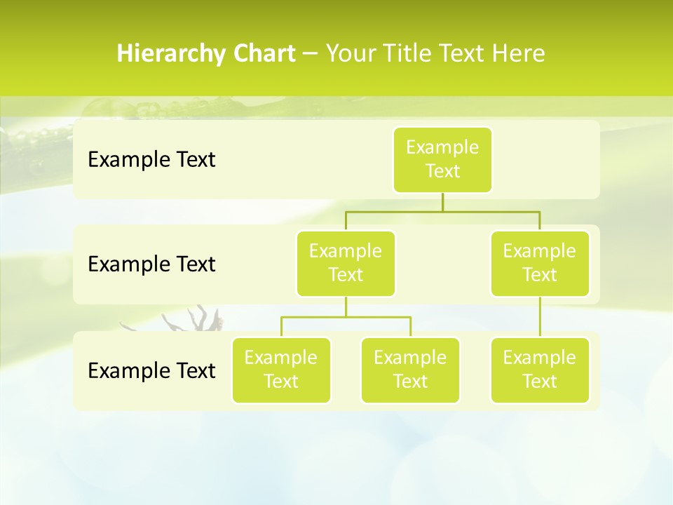 Leaves Bright Biology PowerPoint Template