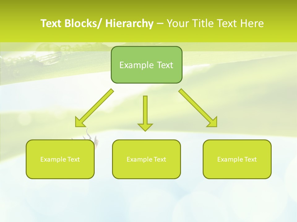 Leaves Bright Biology PowerPoint Template