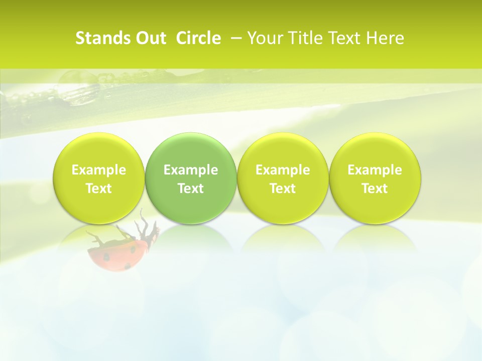 Leaves Bright Biology PowerPoint Template