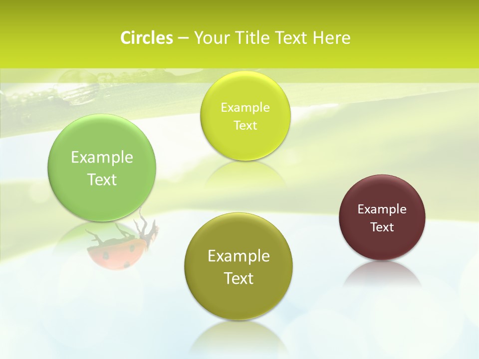 Leaves Bright Biology PowerPoint Template