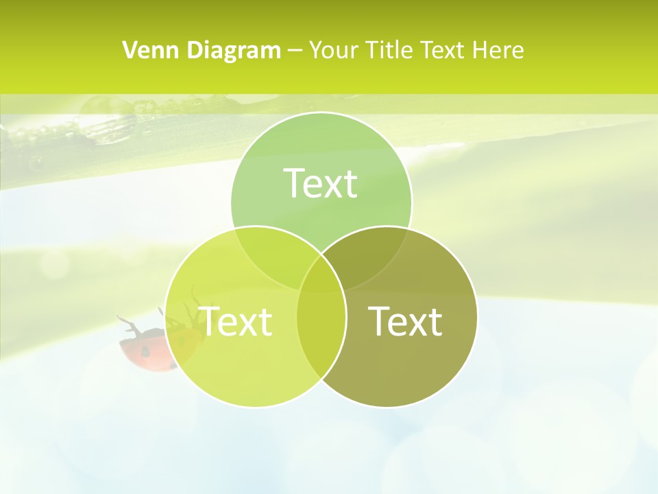 Leaves Bright Biology PowerPoint Template