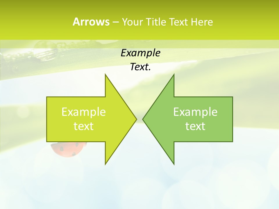 Leaves Bright Biology PowerPoint Template
