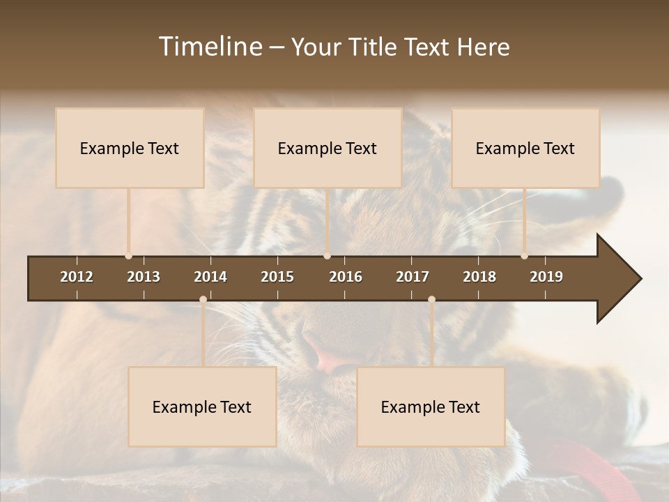 Orange One Animal PowerPoint Template