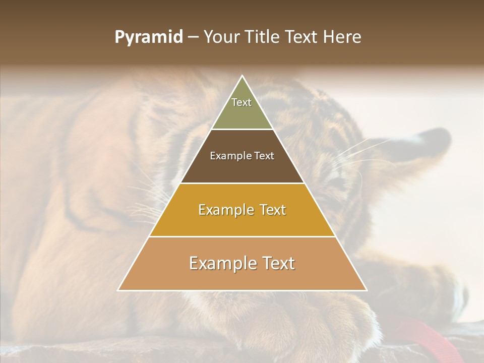 Orange One Animal PowerPoint Template