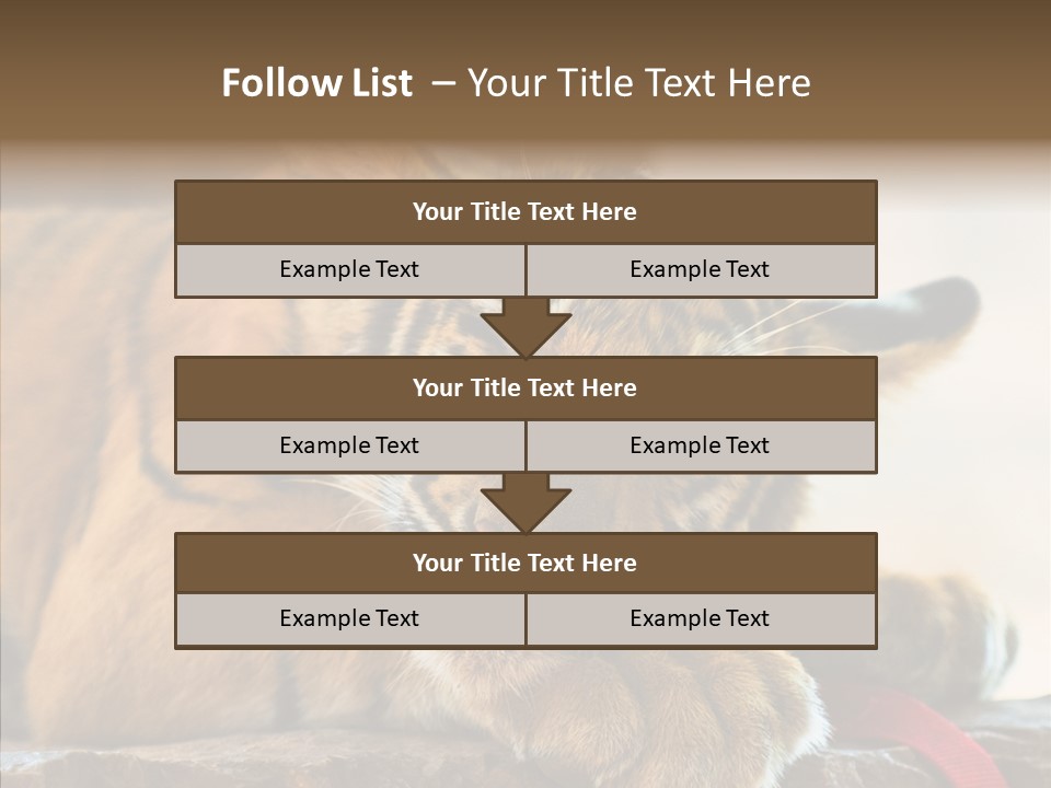 Orange One Animal PowerPoint Template