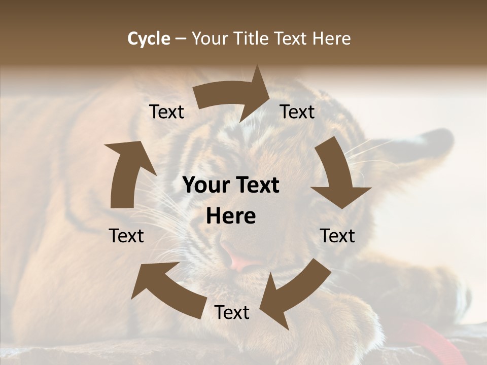 Orange One Animal PowerPoint Template