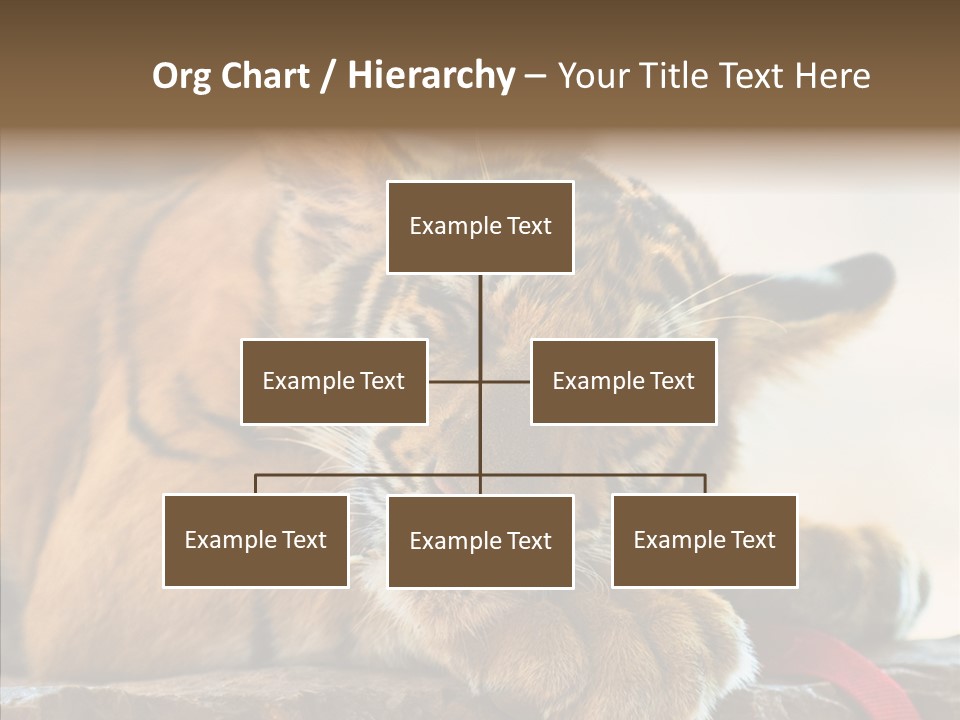 Orange One Animal PowerPoint Template