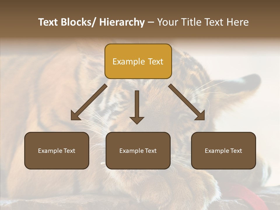 Orange One Animal PowerPoint Template