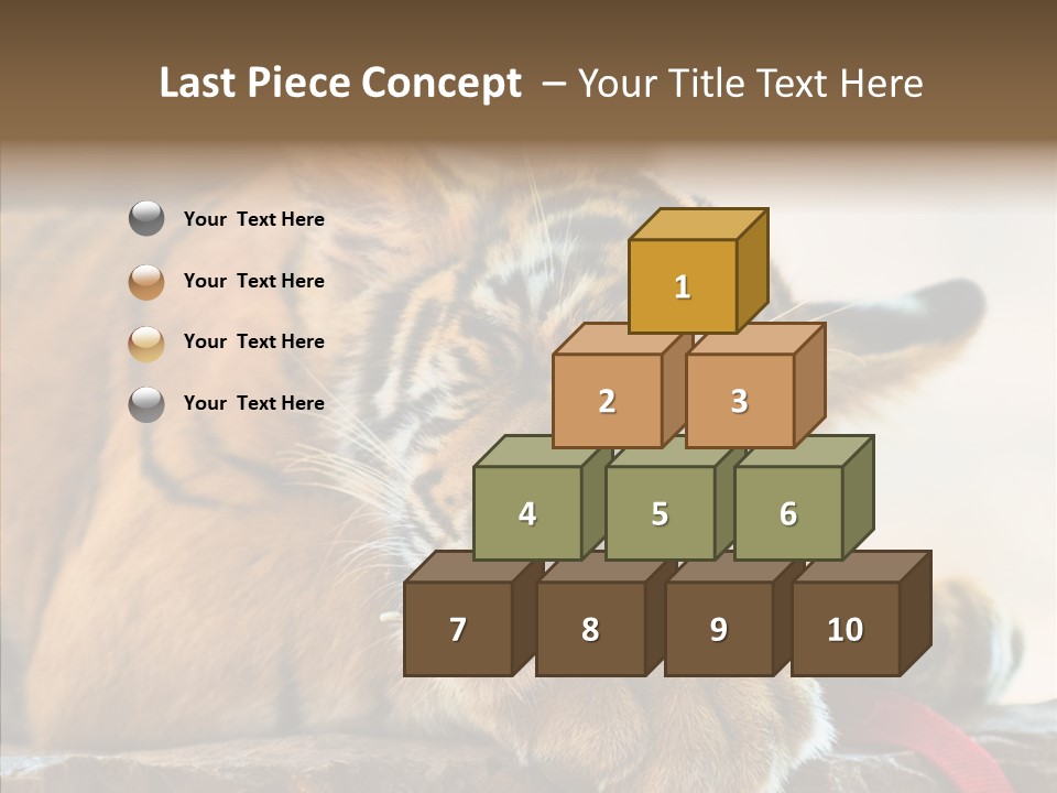 Orange One Animal PowerPoint Template