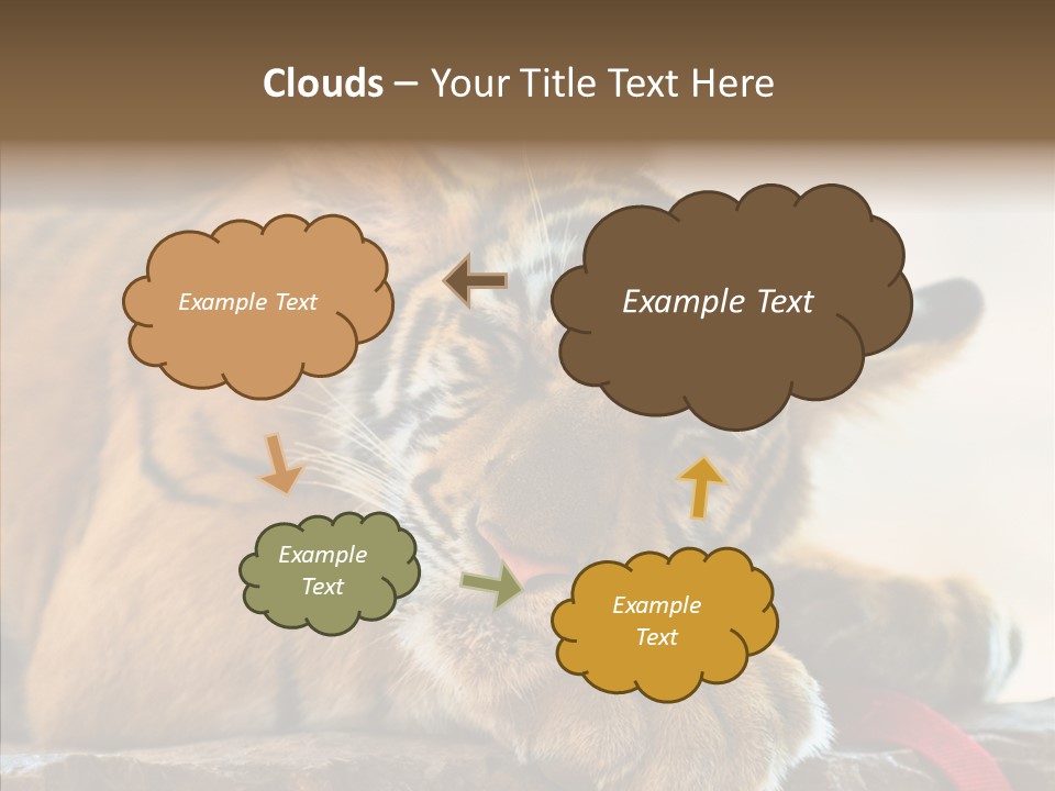 Orange One Animal PowerPoint Template