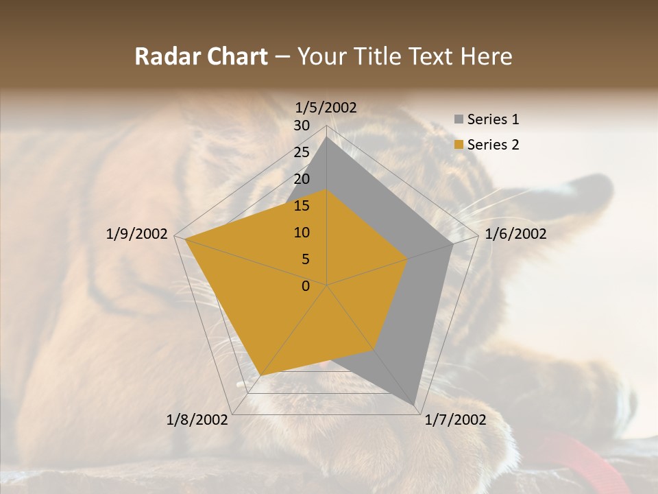 Orange One Animal PowerPoint Template