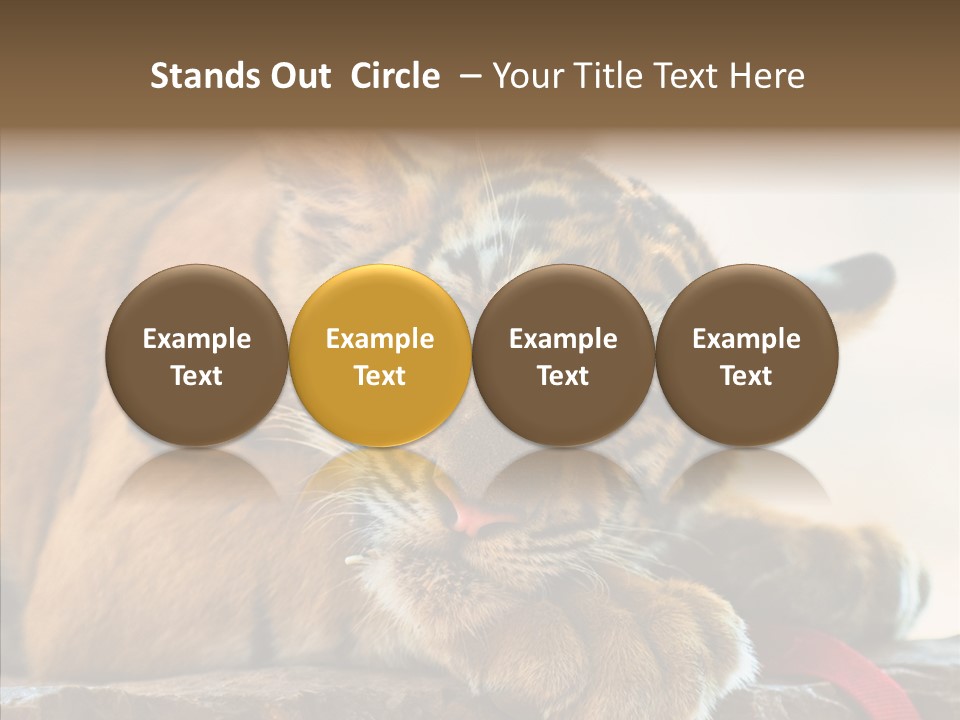 Orange One Animal PowerPoint Template