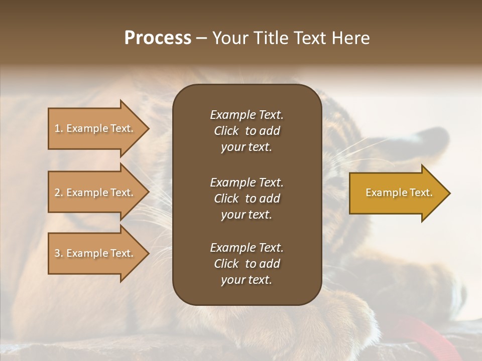 Orange One Animal PowerPoint Template
