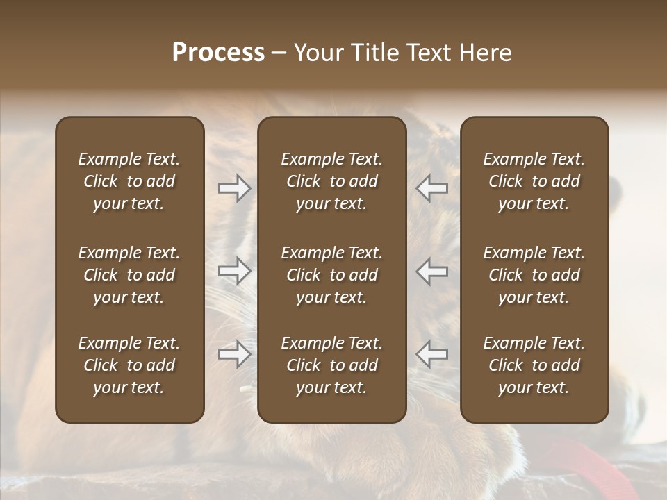Orange One Animal PowerPoint Template