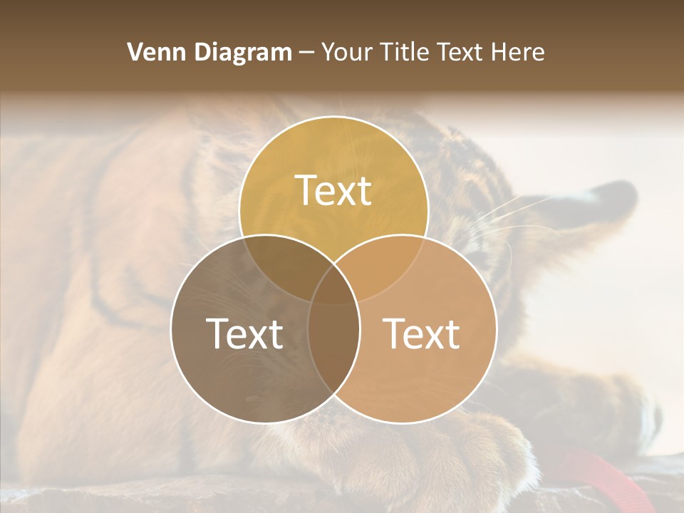 Orange One Animal PowerPoint Template