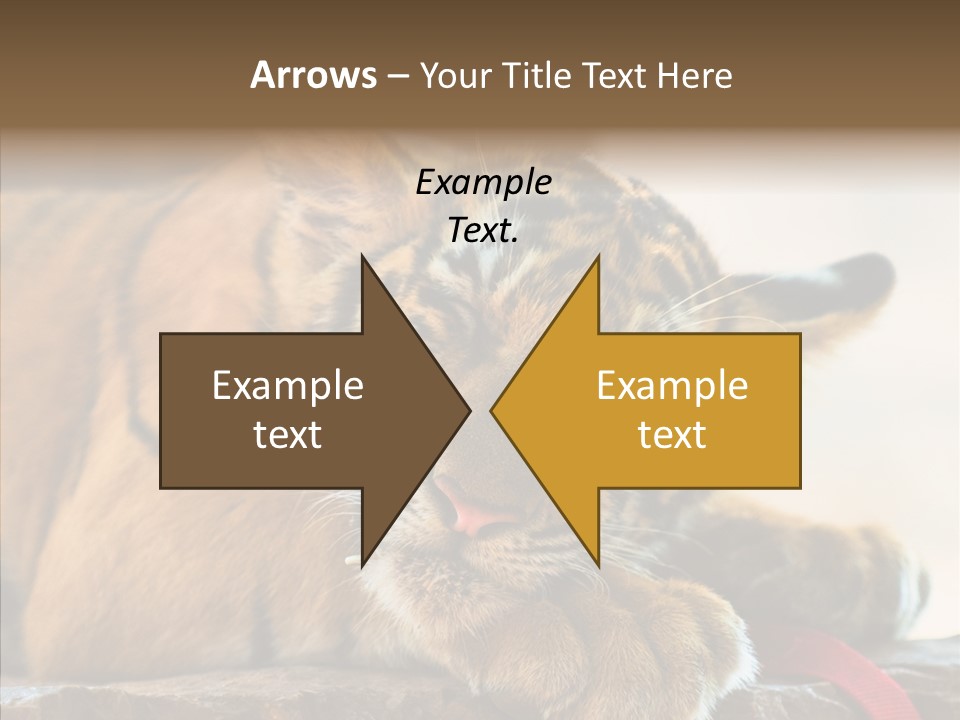 Orange One Animal PowerPoint Template