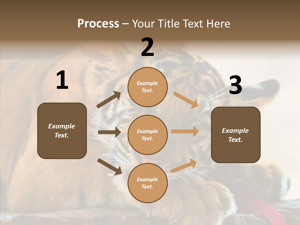 Orange One Animal PowerPoint Template