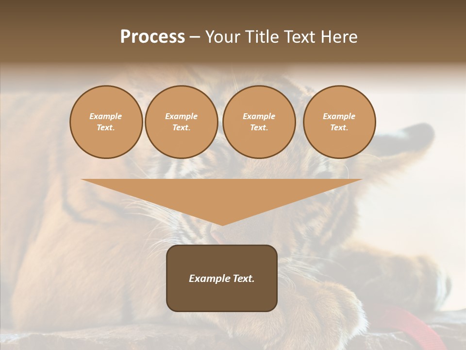 Orange One Animal PowerPoint Template