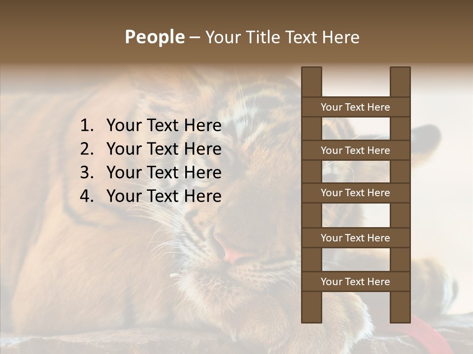 Orange One Animal PowerPoint Template