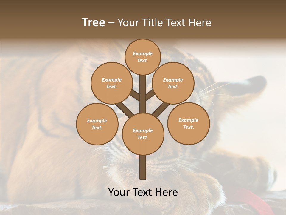 Orange One Animal PowerPoint Template