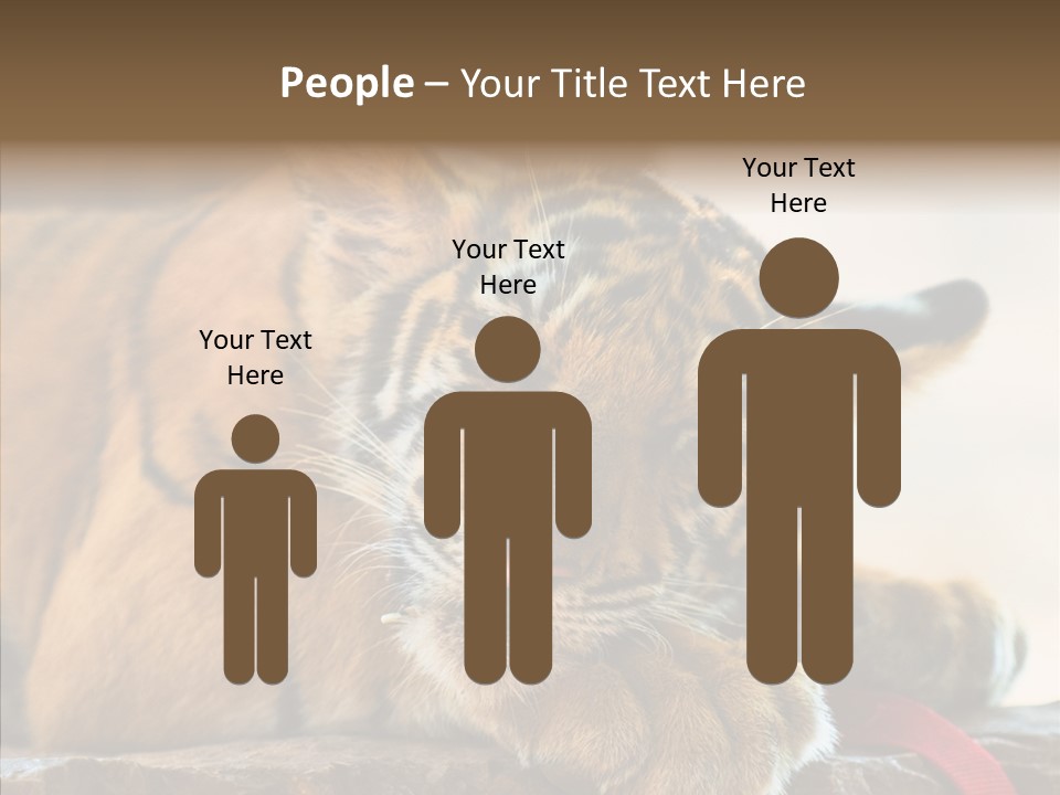 Orange One Animal PowerPoint Template