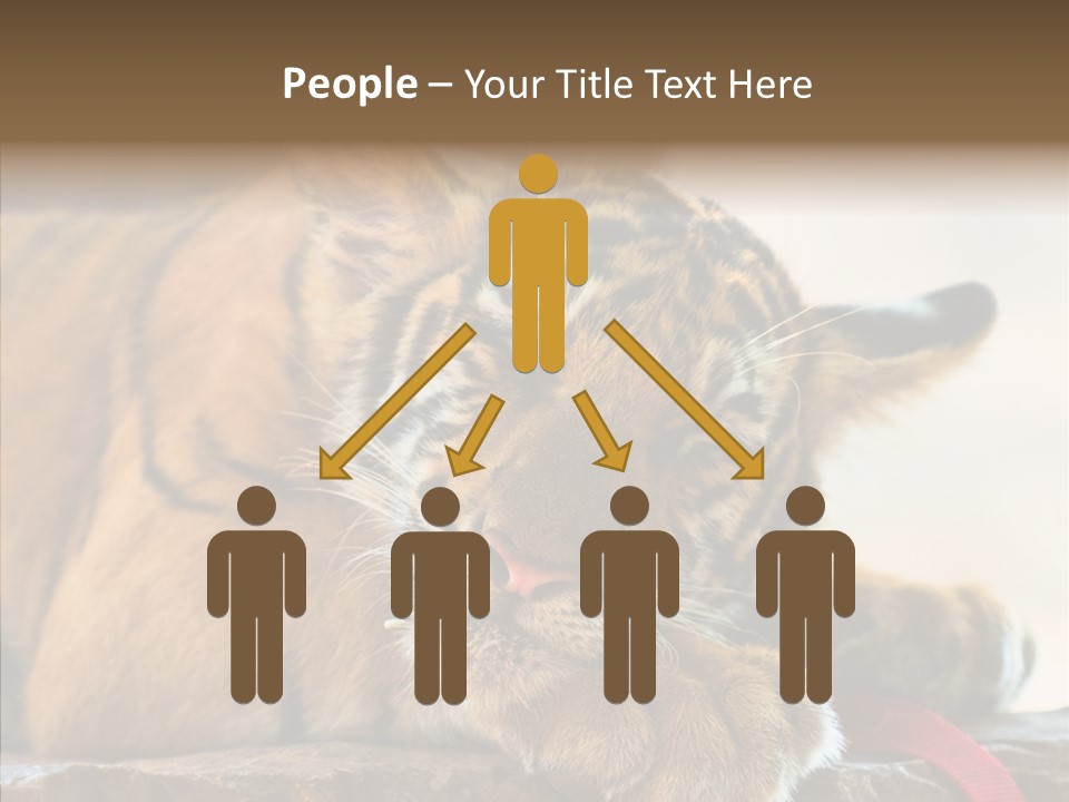 Orange One Animal PowerPoint Template