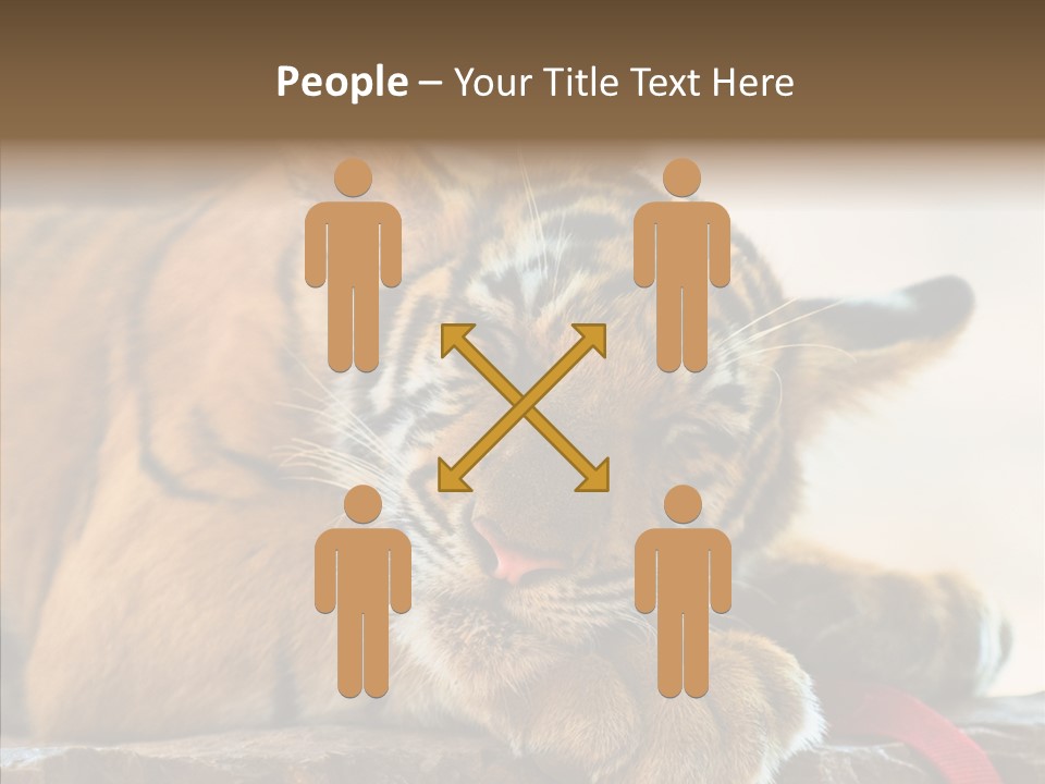 Orange One Animal PowerPoint Template