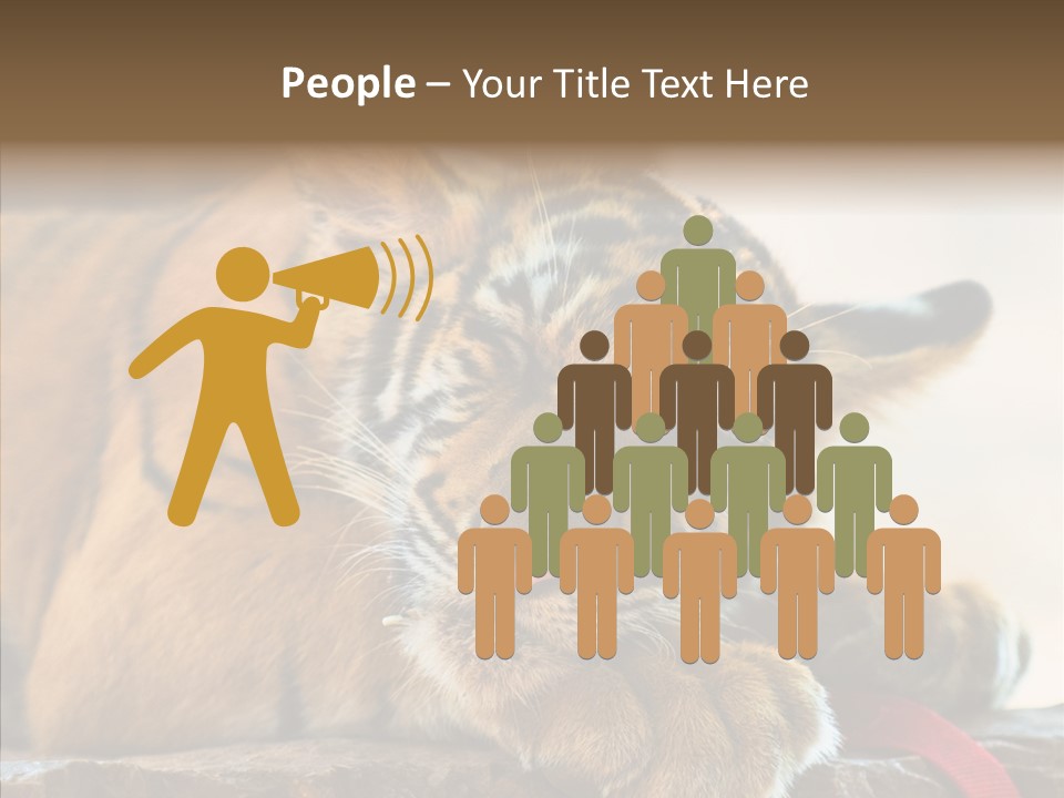 Orange One Animal PowerPoint Template