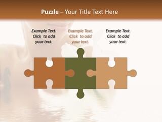 Pretty Flower Wellness PowerPoint Template