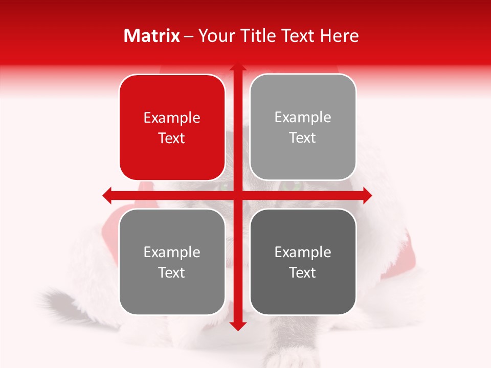 Tabby Christmas Kitten PowerPoint Template