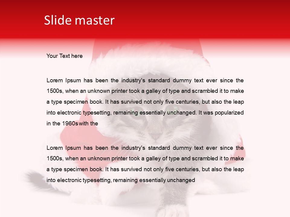 Tabby Christmas Kitten PowerPoint Template