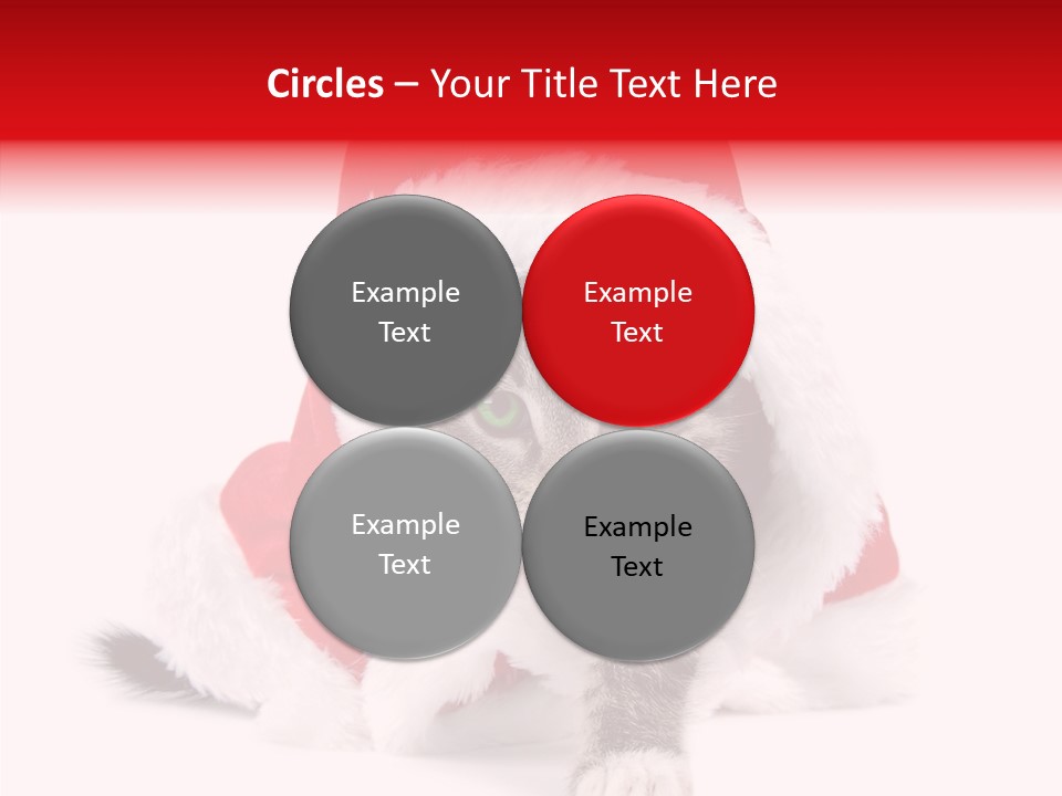 Tabby Christmas Kitten PowerPoint Template