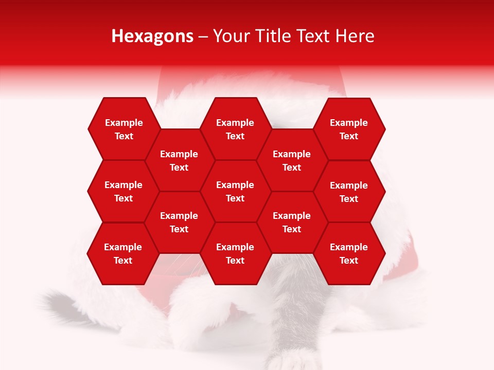 Tabby Christmas Kitten PowerPoint Template