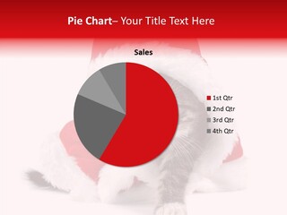 Tabby Christmas Kitten PowerPoint Template